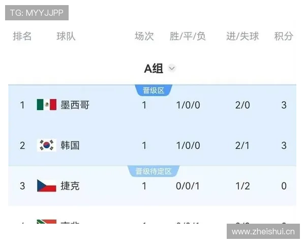 世界杯A组南非VS韩国看点解析 世界杯A组南非VS韩国看点解析
